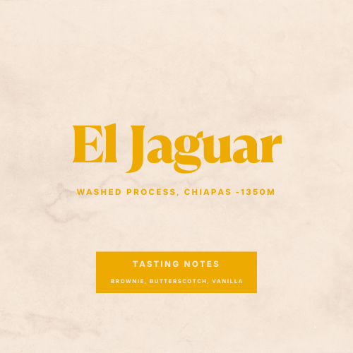 Mexico El Jaguar