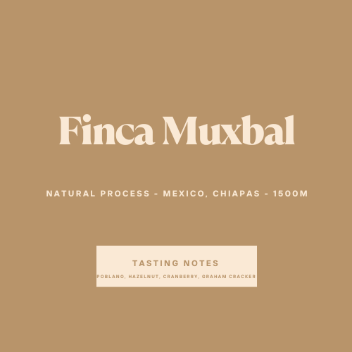 Finca Muxbal