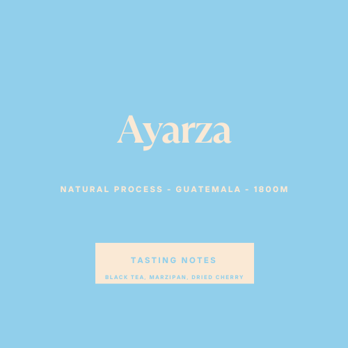 Ayarza