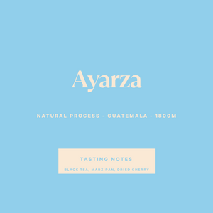 Ayarza